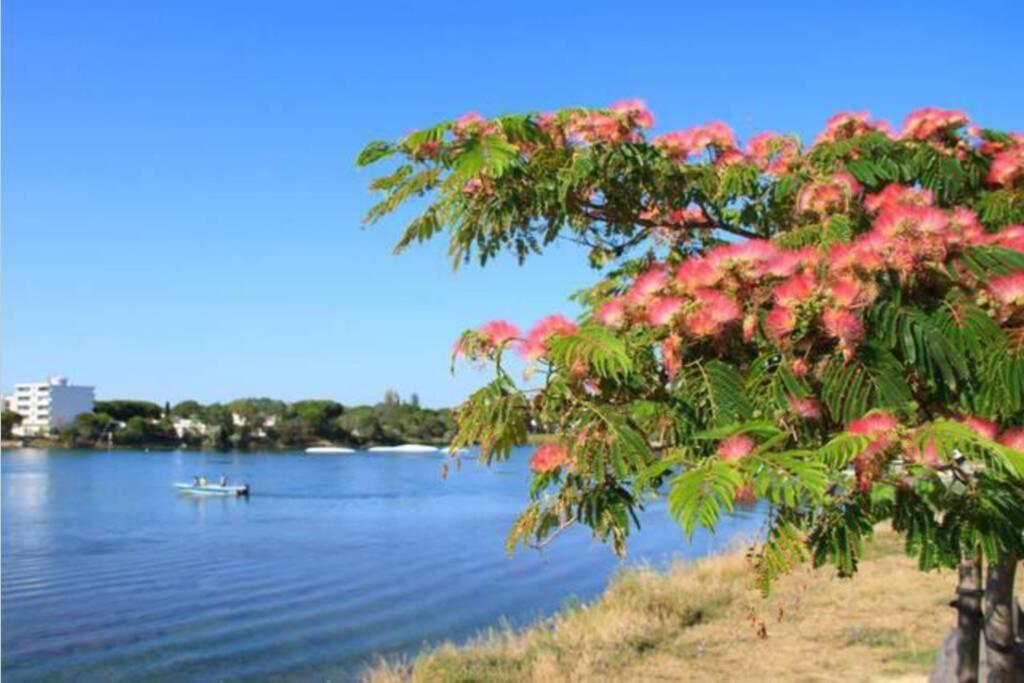 Reve Bleu Residence La Grande Pyramide Vue Port Hyper Centre Wifi Parking Prive Gratuit Bagian luar foto
