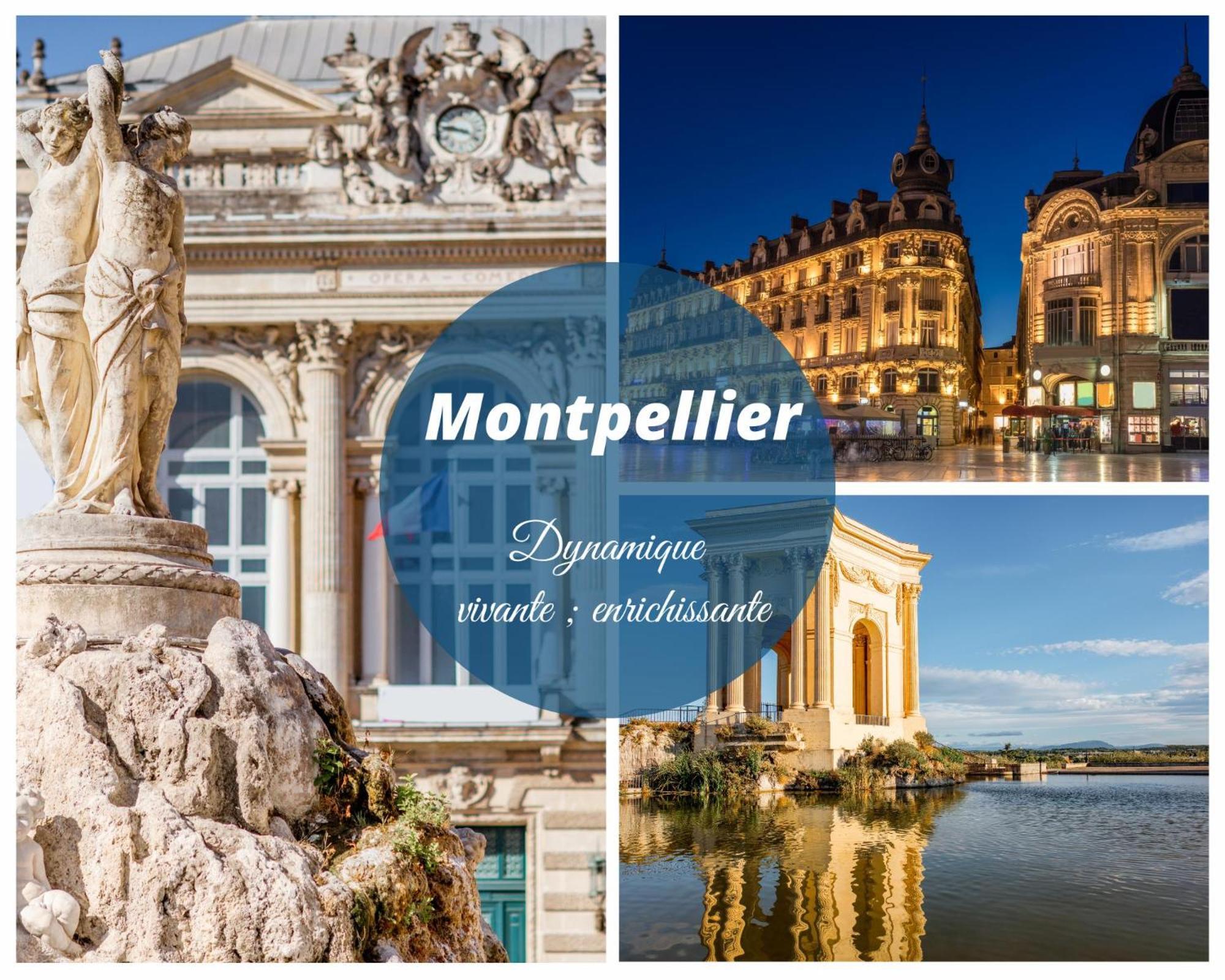 Reve Bleu Residence La Grande Pyramide Vue Port Hyper Centre Wifi Parking Prive Gratuit Bagian luar foto